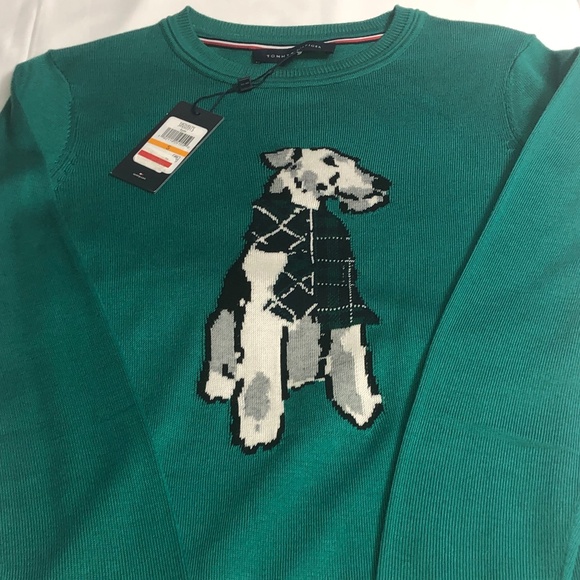 Tommy Hilfiger Sweaters - Tommy Hilfiger sweater